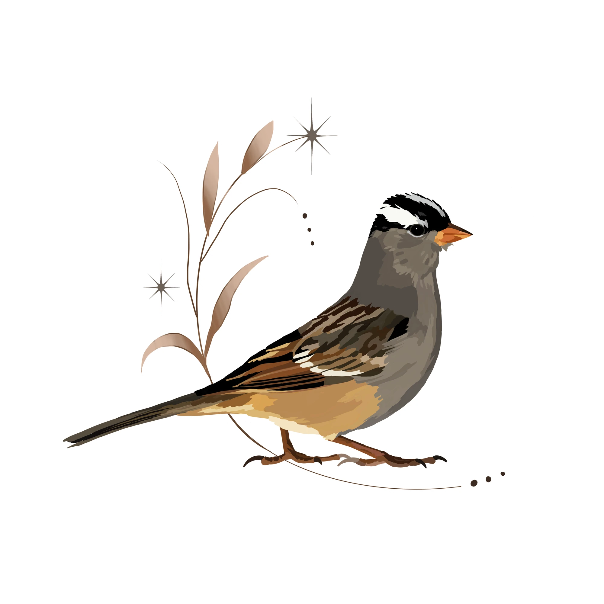 Brown bird with a black and white crown beside curling leaves and stars